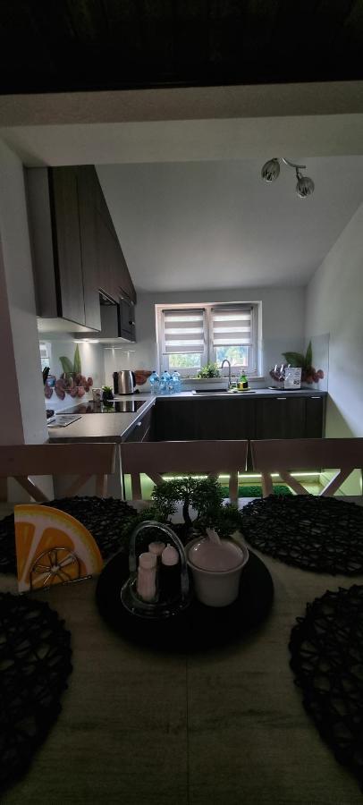 Apartament Elbrus Czyrna Szczyrk Wypozyczalnia Rowerow E-Bike Czyrna Szkola Narciarska & Wypozyczalnia Ski Serwis Exteriér fotografie